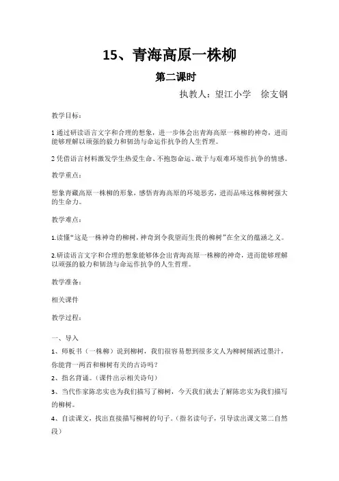 15、青海高原一颗柳