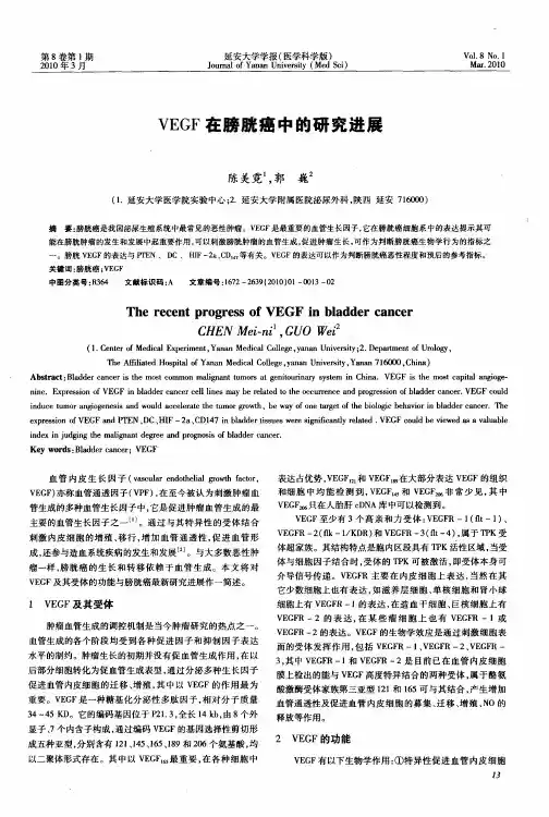 VEGF在膀胱癌中的研究进展