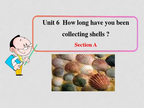 八年级英语下册 Unit 6 How long have you been colle
