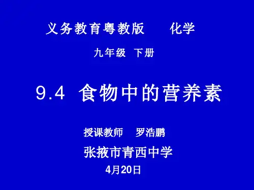 科粤版九年级下册化学 9.4 化学 物质与健康