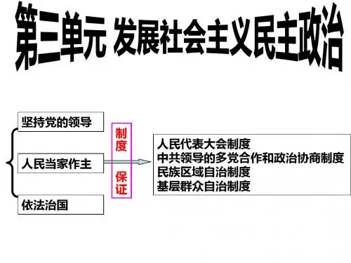 第一轮复习:第五课:我国的人民代表大会制度