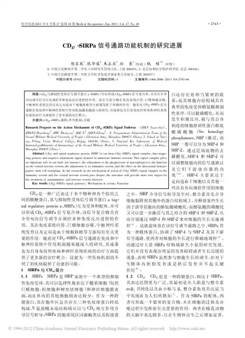 CD_47_SIRPa信号通路功能机制的研究进展