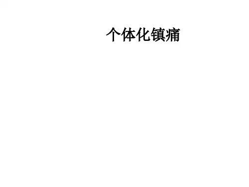 个体化镇痛ppt课件