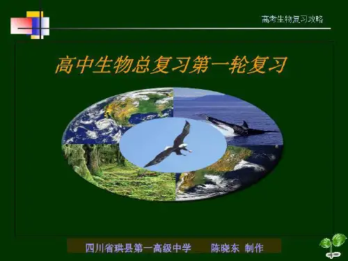 攻略1 高中生物总复习第一轮复习