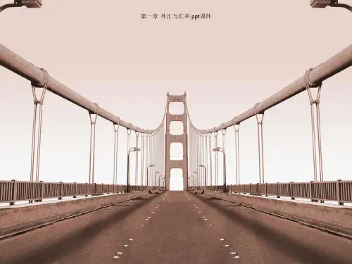 第一章  外汇与汇率 ppt课件