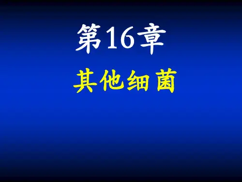 其他细菌
