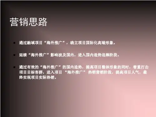 海外推广细化方案1