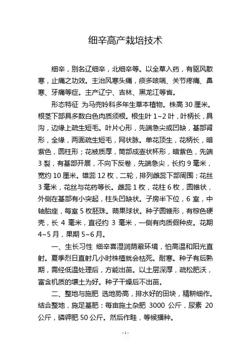细辛高产栽培技术