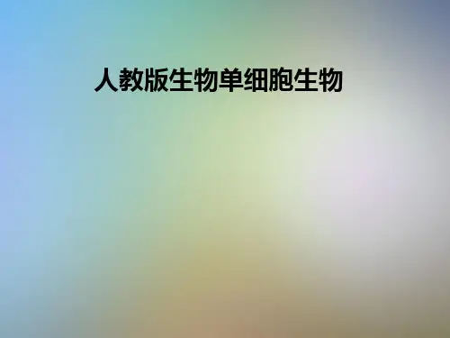 人教版生物单细胞生物