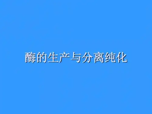 酶的生产与分离纯化--瑶瑶