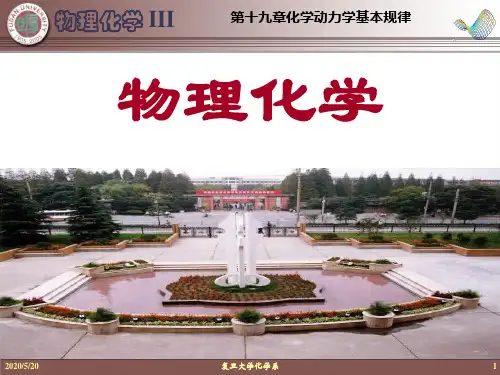 复旦大学范康年物理化学第19章化学动力学基本规律