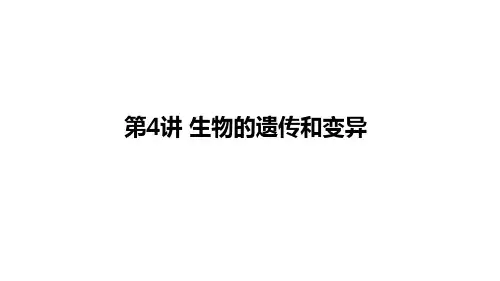 【初中生物】中考生物复习:生物的遗传和变异ppt