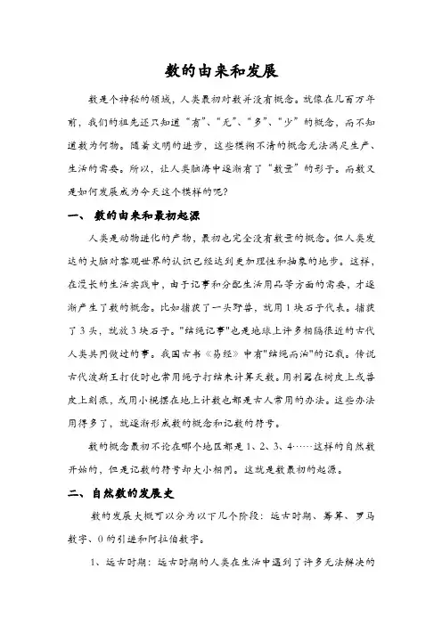 论文《数的由来和发展》