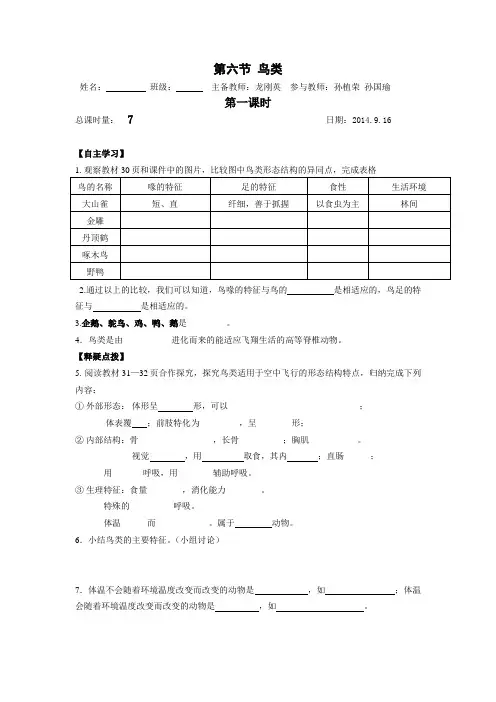 鸟类导学案