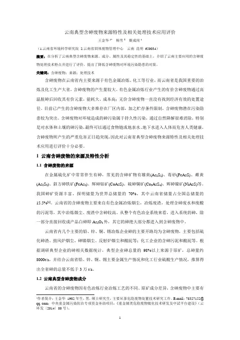 云南典型含砷废物来源特性及相关处理技术应用评价