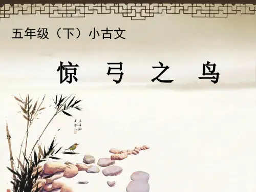 惊弓之鸟