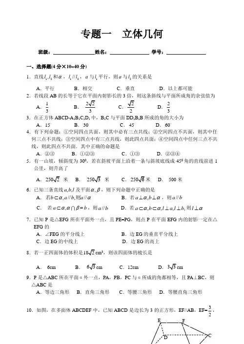 立体几何专题训练