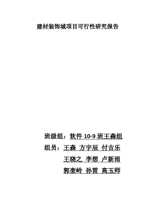 建材装饰城项目可行性研究报告
