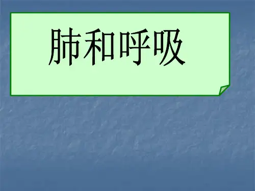 肺和呼吸ppt课件