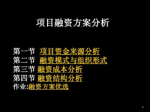 项目融资方案分析