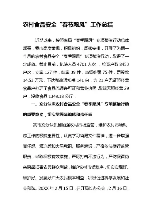 飓风行动工作总结