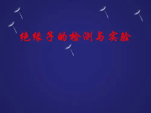 新型绝缘子检测与实验