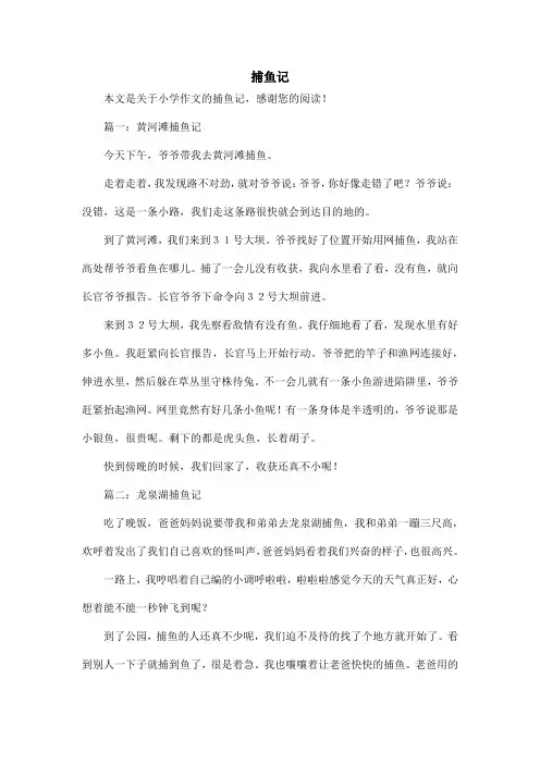 捕鱼记_小学作文_1