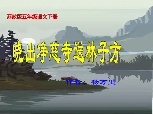 《晓出净慈寺送林子方》课件