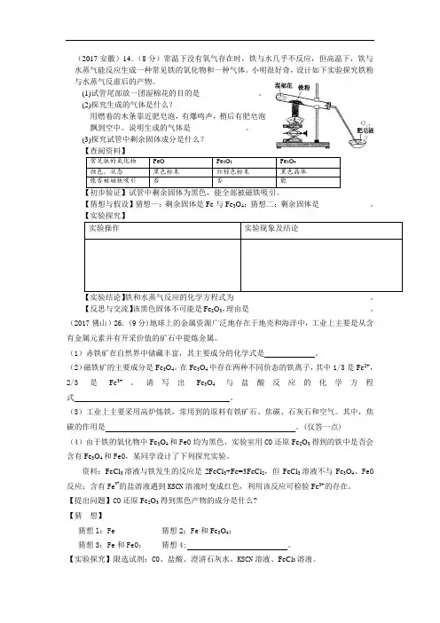 2017年中考化学试题汇编2-我们身边的物质-考点12-金属和金属材料-2具体金属-1铁-6探究题