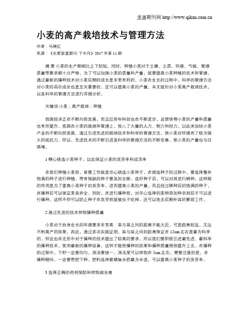 小麦的高产栽培技术与管理方法 2