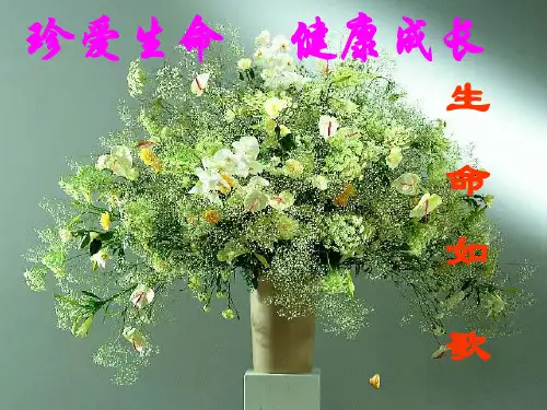 安全教育主题班会《珍爱生命-健康成长》PPT课件