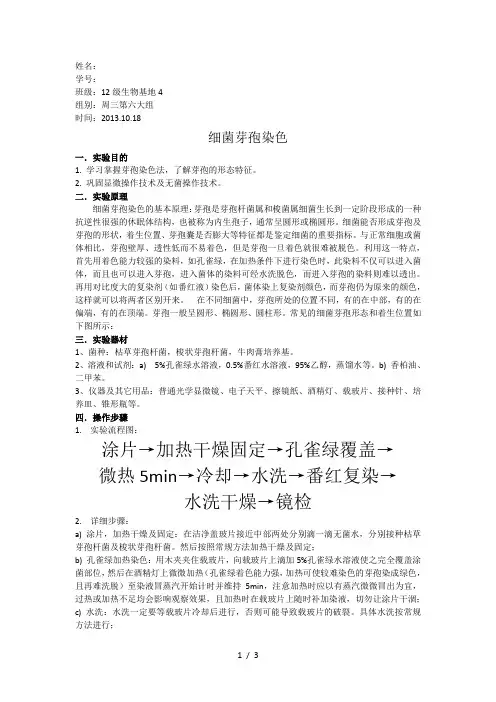 细菌芽孢染色 2