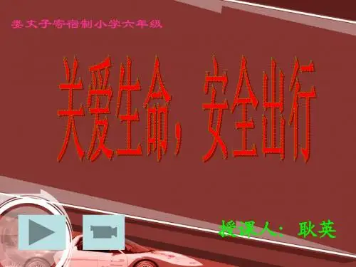 关爱生命 安全出行