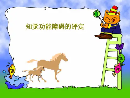知觉功能障碍的评定共118页文档
