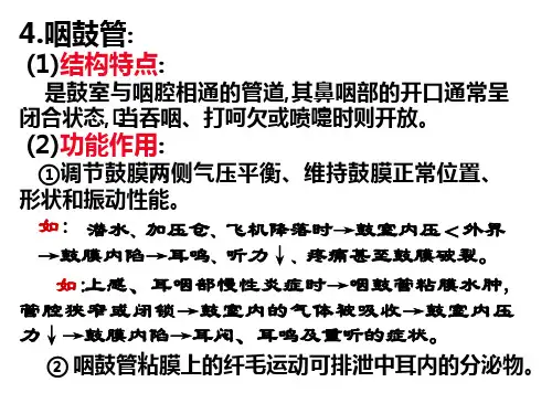 生理学课件_感觉器官(二)ppt