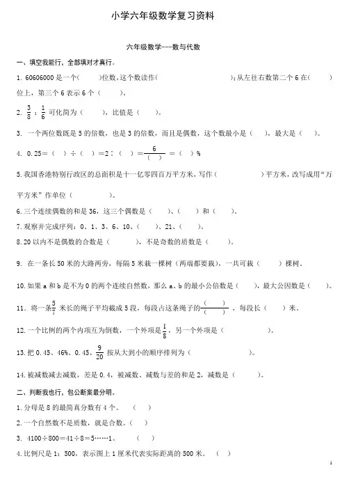 人教版六年级数学总复习试题(最新)