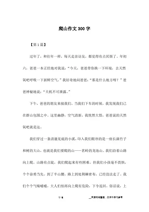 爬山作文300字