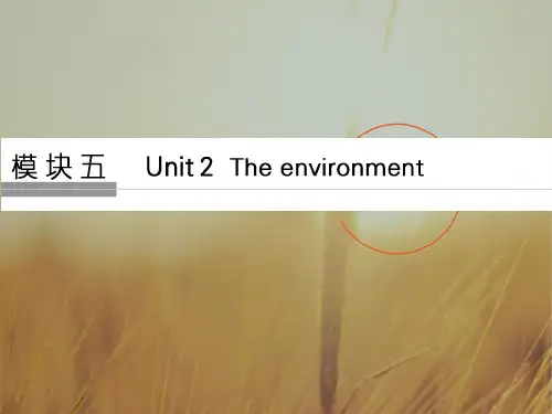 2018版高考英语江苏专用译林大一轮复习课件：模块五 Unit 2 精品