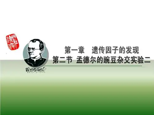 1.2孟德尔的豌豆杂交实验(二)