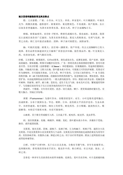 南方芸香科植物的常见种及特点