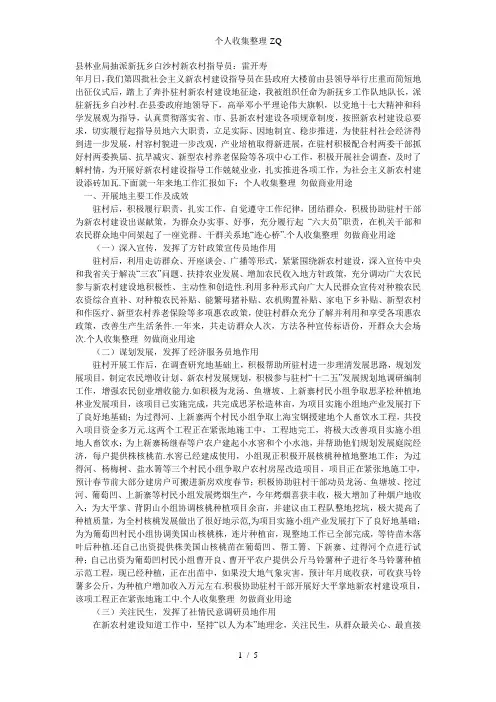 白沙村新农村指导员2010年工作总结