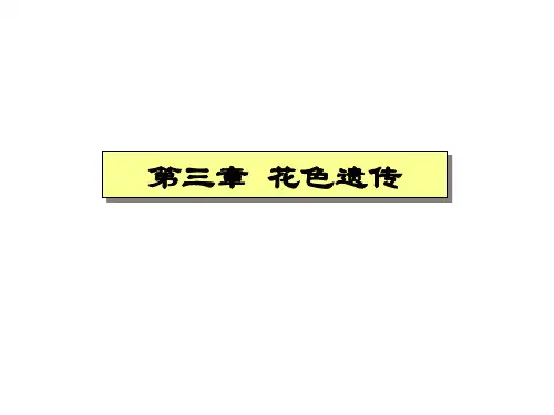 第三章 花色遗传