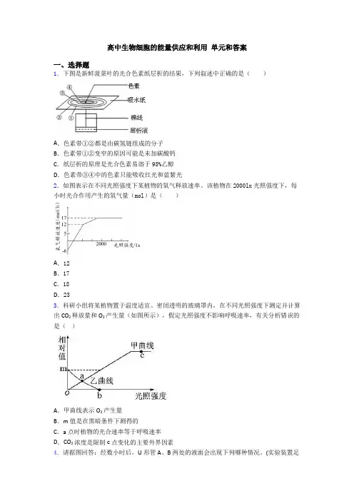高中生物细胞的能量供应和利用 单元和答案