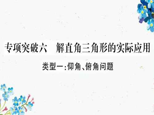 中考数学总复习第二轮中档题突破专项突破6解直角三角形的实际应用课件新人教版