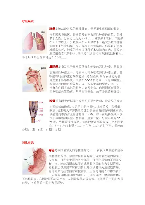 癌症分类