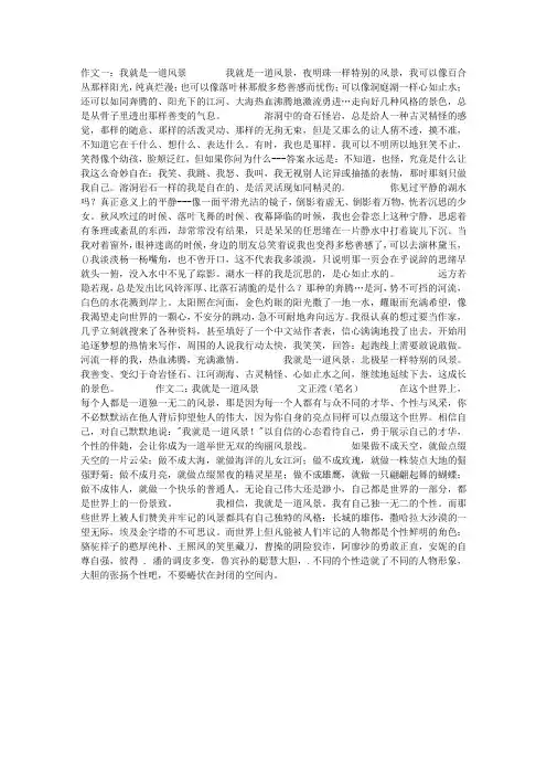 我就是一道风景作文