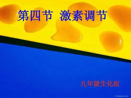 七年级生物下册 第四单元第六章第四节 激素调节课件 人教版