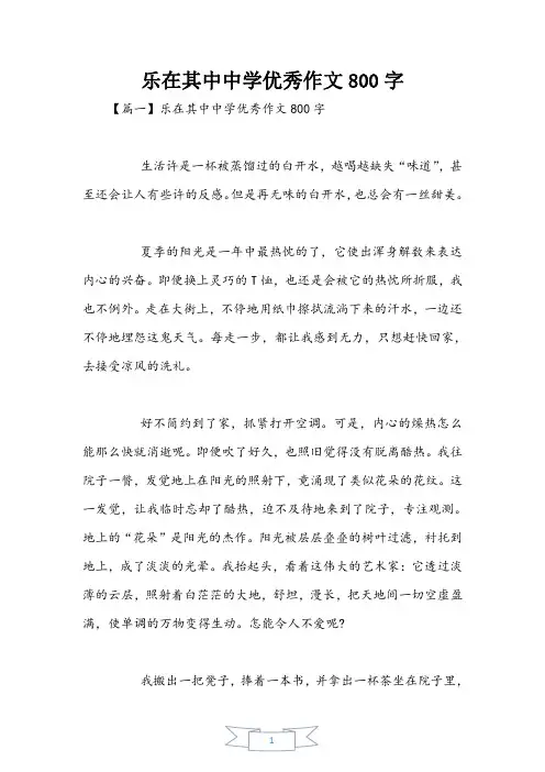 乐在其中初中优秀作文800字