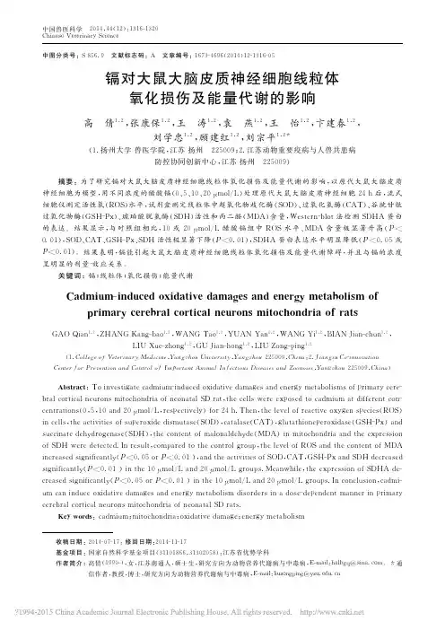 镉对大鼠大脑皮质神经细胞线粒体氧化损伤及能量代谢的影响