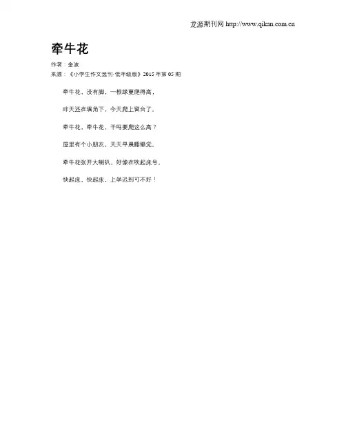 牵牛花
